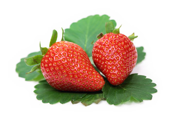 Erdbeeren