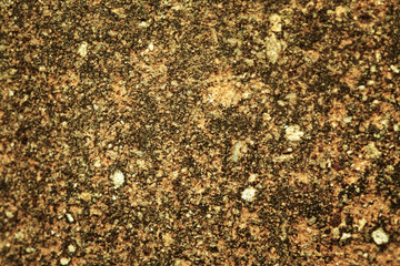 terracotta texture