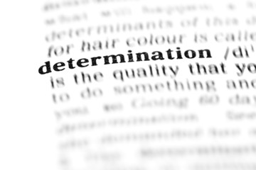 determination (the dictionary project)