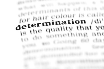 Fototapeta premium determination (the dictionary project)