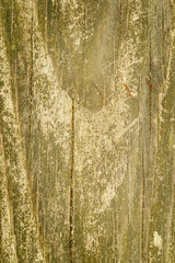 old wood texture