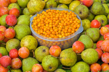 Fruits and berries 20