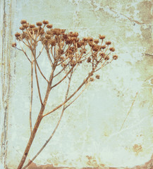 Vintage flower on old book background