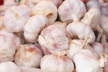 garlic background
