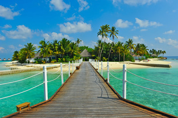 Maldives island - 31945604