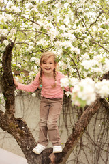 Mädchen steht im Apfelbaum und freut sich