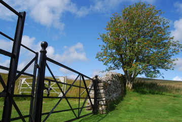 Fence in the Borders