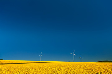 Saubere Energie