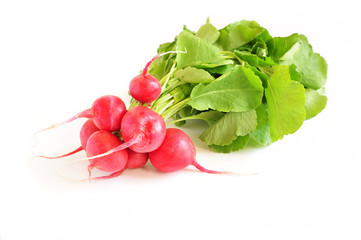 A bunch of fresh radishes on a white background