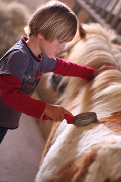 jeune gar&ccedil;on et son poney
