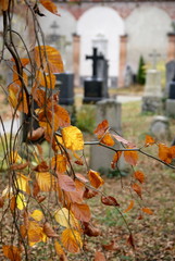 Herbst im Friedhof