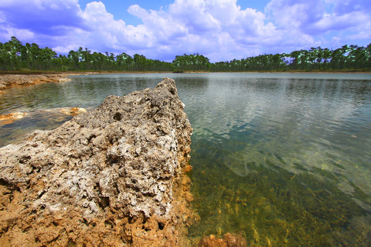 Everglades National Park - USA