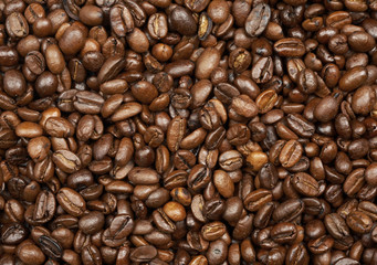 Coffee roasted beans