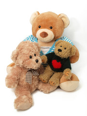 Teddy Bears on the white background