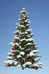 Weihnachtsbaum