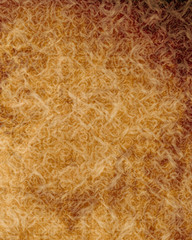 Old paper texture