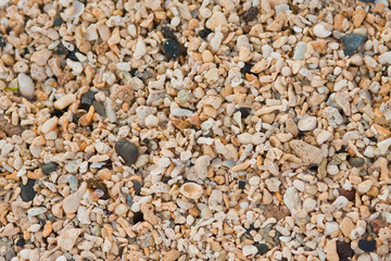 Close up of Hawaiian Sand