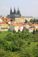 Obraz premium View on the spring Prague gothic Castle with the green Nature