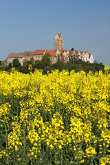 Schloß Plötzkau