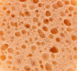 sponge texture