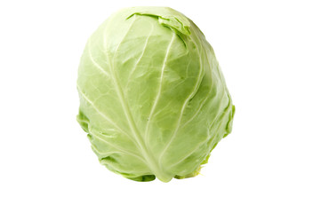 cabbage