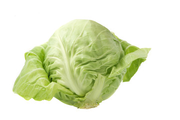 Obraz premium cabbage