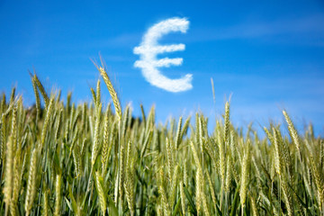 getreide mit eurozeichen