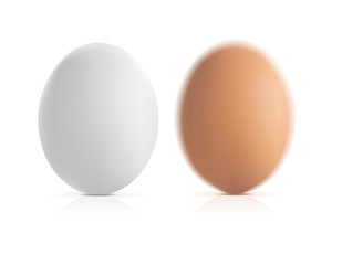 brown and white vector eggs