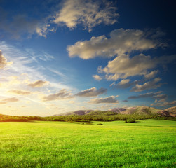 Green meadow in mountain