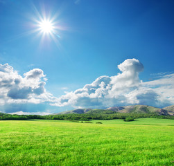 Green meadow in mountain