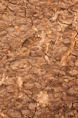 drought soil