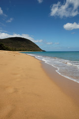 superbe plage des caraïbes