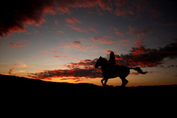 Sunset Horserider