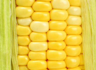 corn