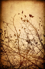flower abstract
