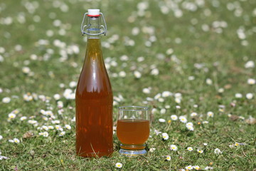 cidre,pomme,jus,bretagne,normandie,tonneau,bouteille