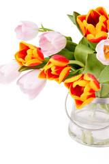 beautiful, bright, fresh tulips in a vase