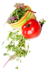 Fresh tomato and a plate of salad
