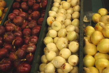 Display onion, etalage d oignons