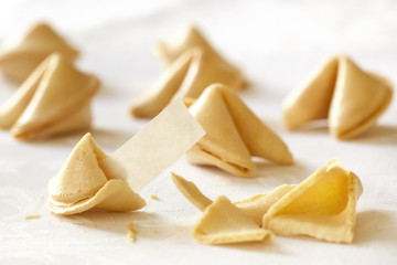Fortune Cookies