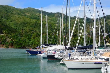 Afwasbaar behang Caraïben sailboats in the caribbean