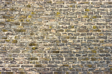 Wall with bricks and moss