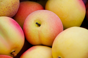 Yellow apple.
