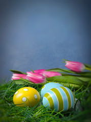 Easter eggs in green grass and tulips with copy space and blue b