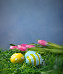 Easter eggs in green grass and tulips with copy space and blue b