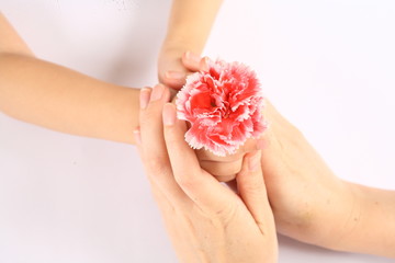 carnations to mothers