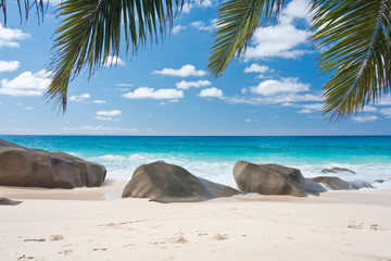 plage des Seychelles sous les palmes des cocotiers