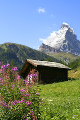 Fototapeta na wymiar życie w samotności, Matterhorn, Zermatt