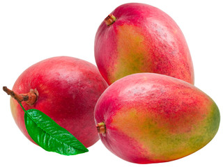 Mango isolated on white background