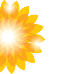 Background with flowers. Vector illustration